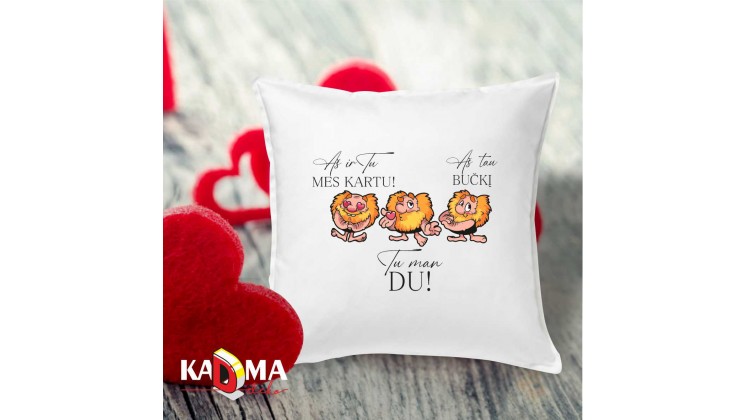 Pagalvė "Aš ir Tu, me kartu..."